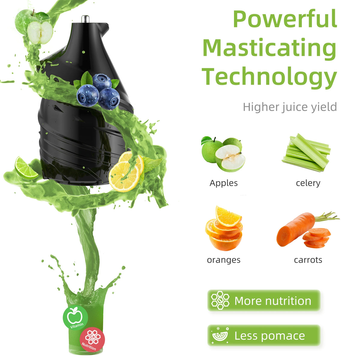 BioloMix Slow Masticating Cold Press Juicer Extracts Whole Fruits Easily