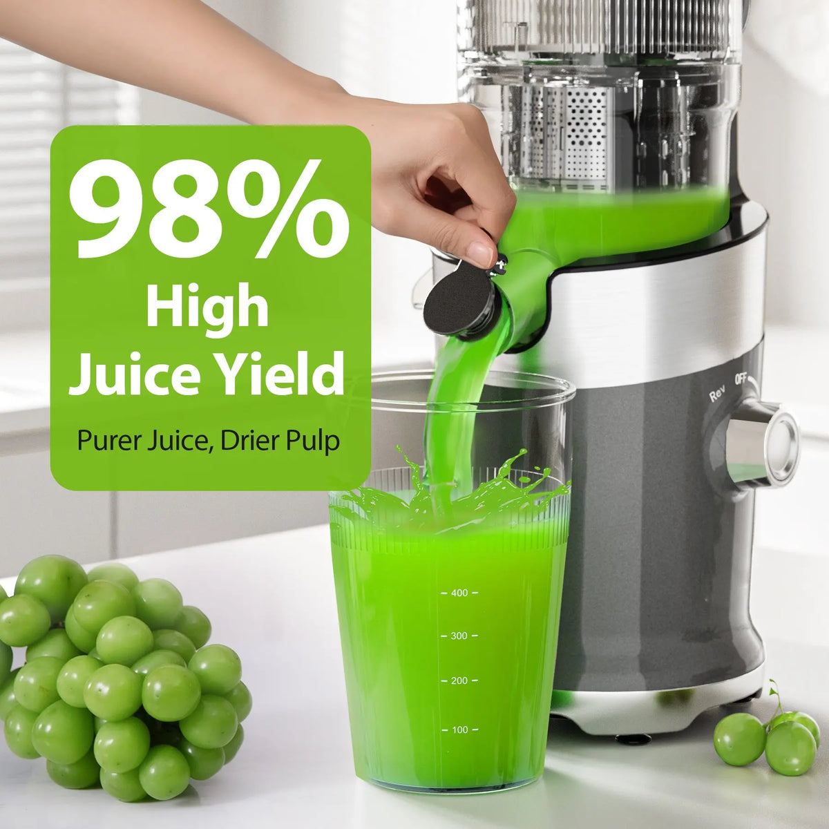 Aeitto Cold Press Juicer Low Speed Quiet Motor Extractor