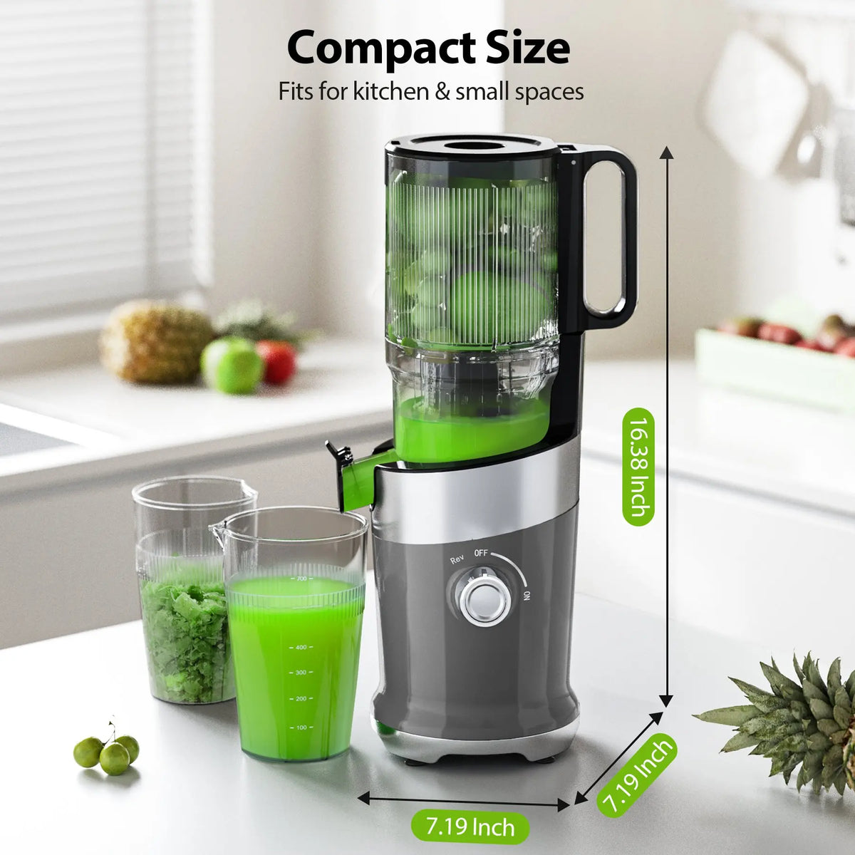 Aeitto Cold Press Juicer Low Speed Quiet Motor Extractor